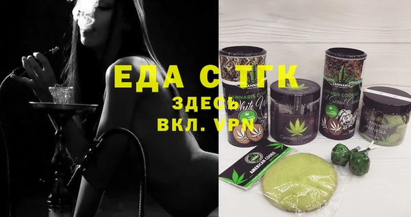тгк Абаза