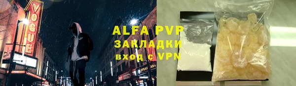 индика Абинск