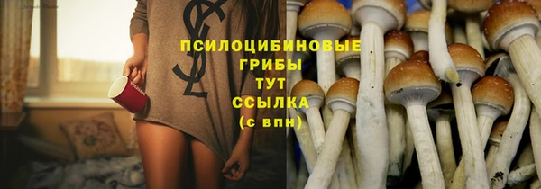 молекула духа Покров