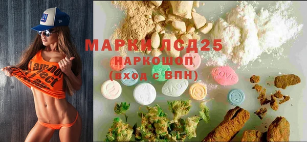 индика Абинск