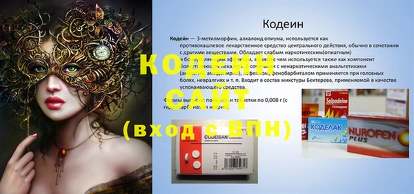 индика Абинск