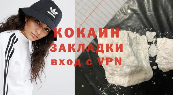 индика Абинск