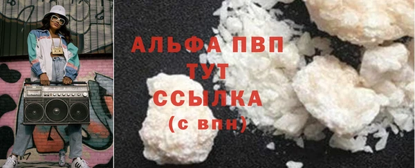 индика Абинск
