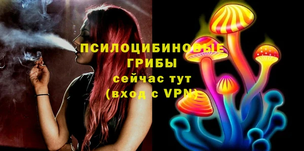 индика Абинск