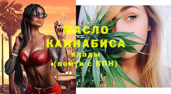 индика Абинск