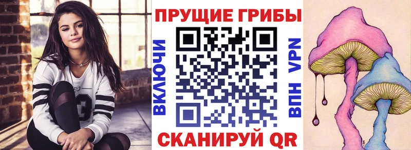 что такое   Алзамай  Галлюциногенные грибы ЛСД 